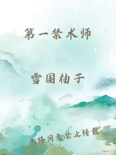 第一禁术师
